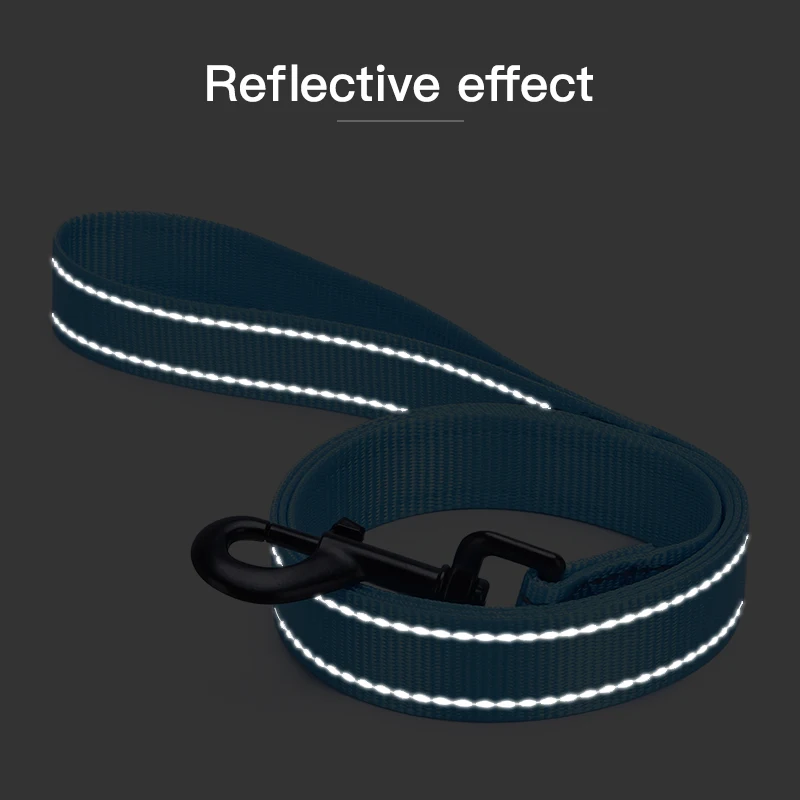 11 Colors Nylon Pet Dog Leash