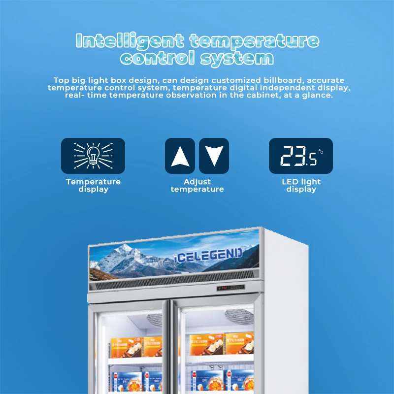 LW1250D 880L Full Screen Double Door Household Refrigerator Network Red Barbecue Display Vertical Low Temperature Electric