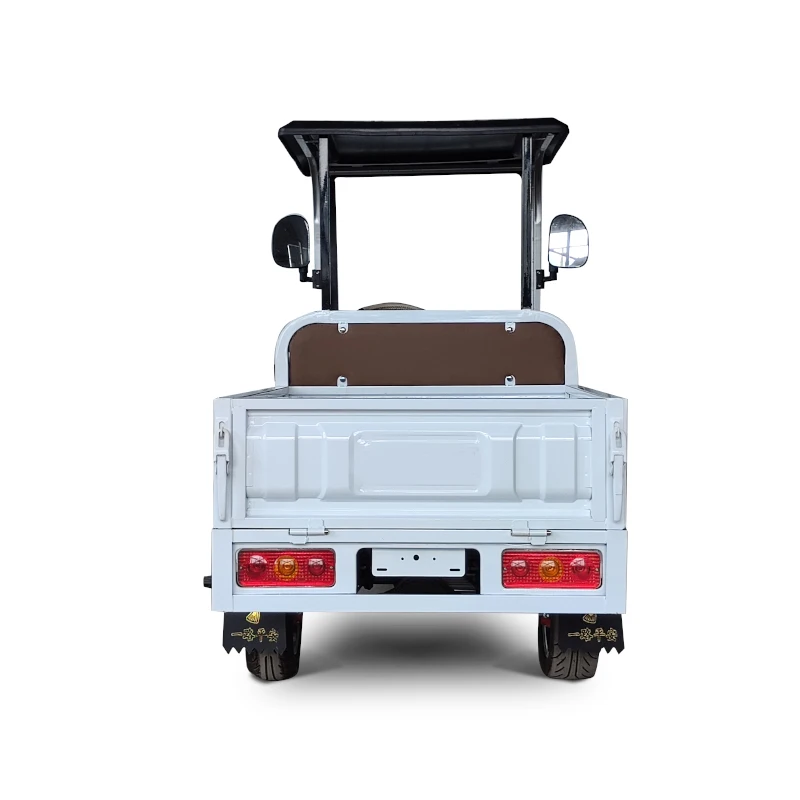 Golf Cart Electric Scooter Golf Cart 2 Seater With Cargo Box