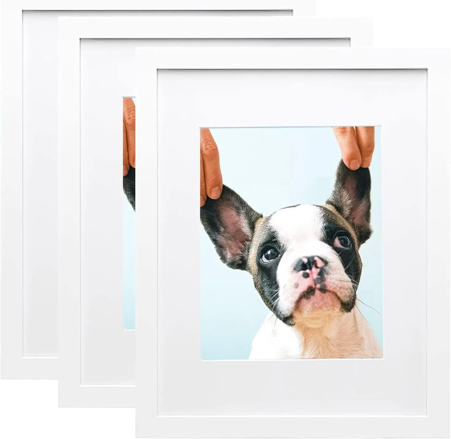 5 colors Black White Brown Maple Solid Wood A1 A2 A3 A4 9X12 13X19 inch Picture Photo Frame with Mat
