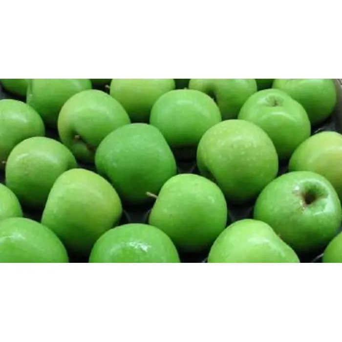 Premium Quality Granny Smith Fresh Green Apples for Wholesale