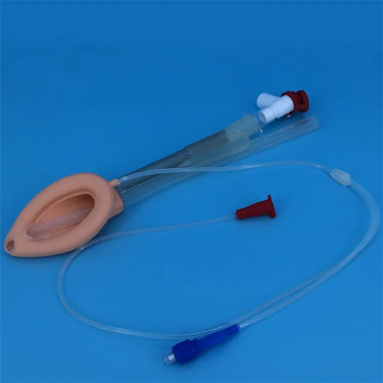 
Medical Disposable Silicone Double Lumen Laryngeal Mask Airway Size 3 For Surgery 