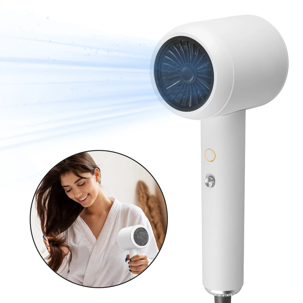 Low Noise Professional Ionic Hair Dryer Wall Mounted Hairdryer Fast Dry Low Noise Blow Dryer Hair Dryer Set