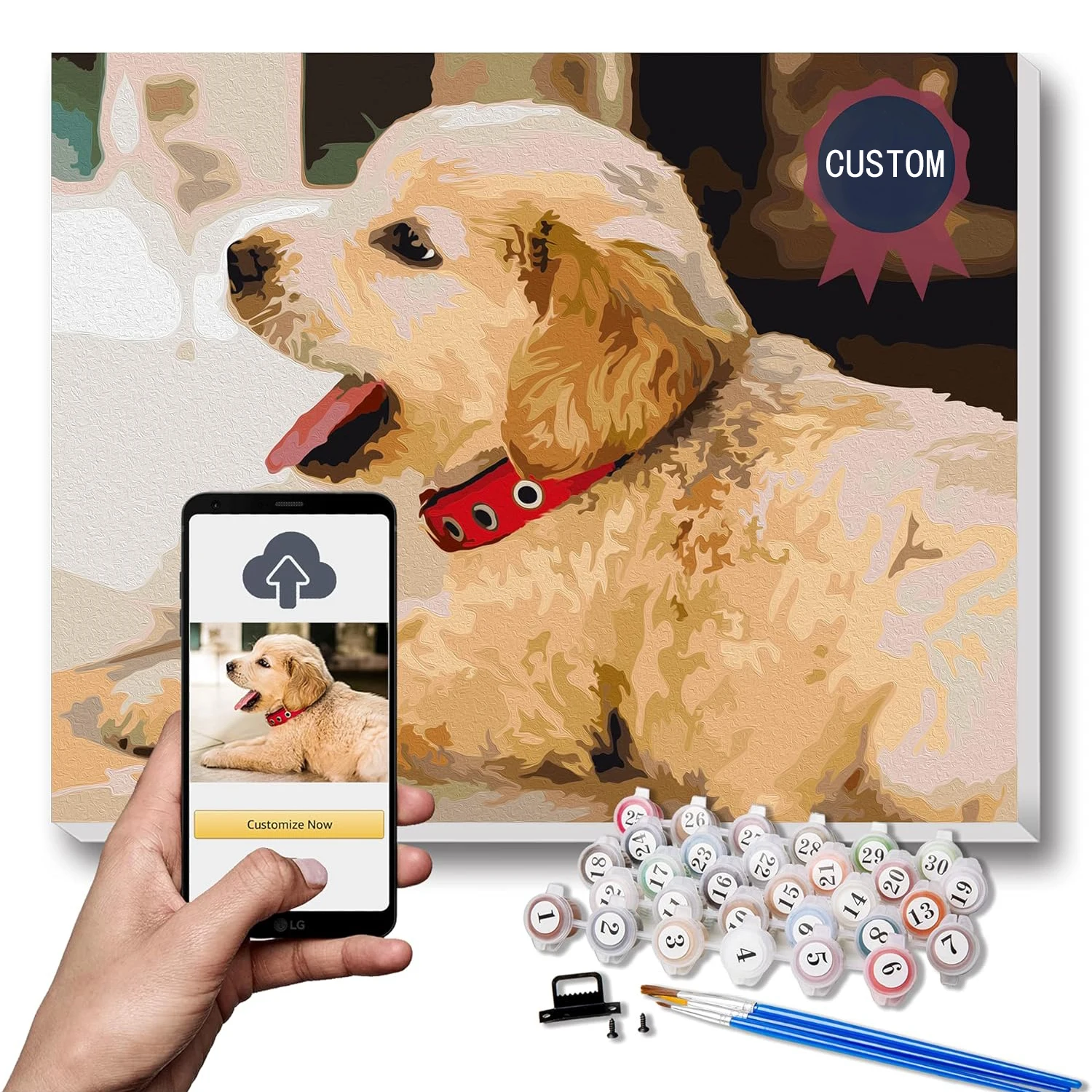 Personalized Customized Paint by Numbers Kits for Adults and Kids Picture Photo DIY Oil Painting Set with Canvas Acrylic Brushes