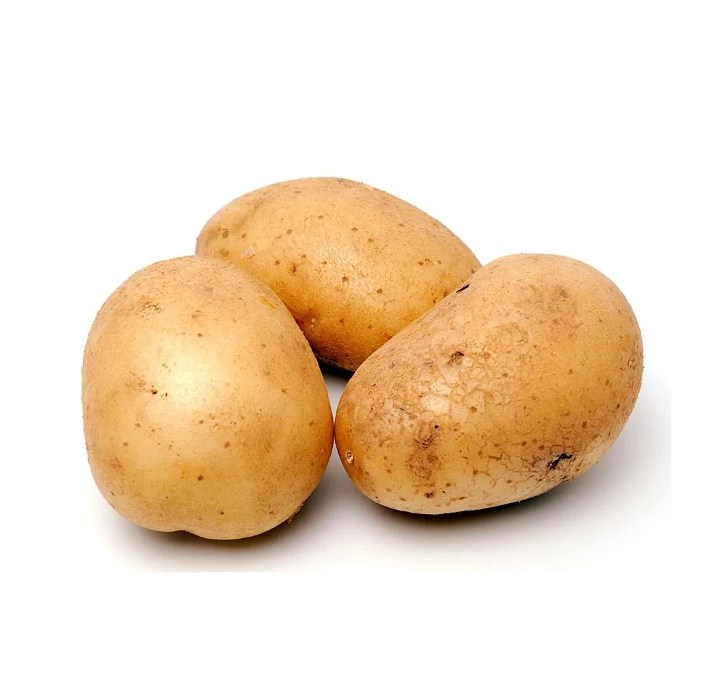 New Crop Fresh Potatoes Egypt Fresh Potatoes Top Grade High Nutrition Certified White and Red Potatoes Wholesaler