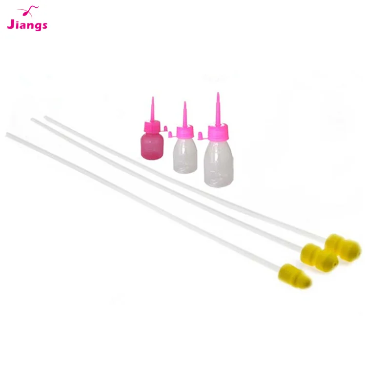 Artificial insemination in pigs - swine reproduction