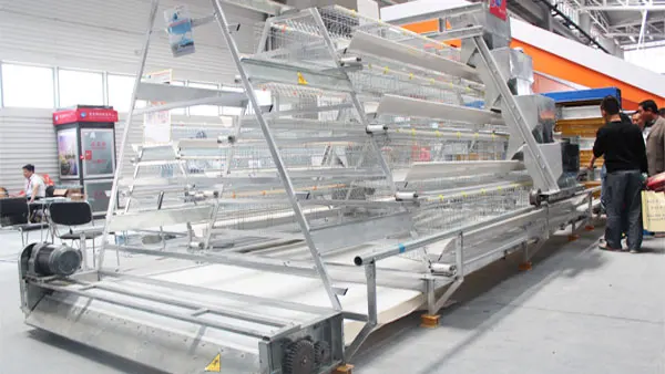 Poultry farm with the equipments/ low cost chicken house /