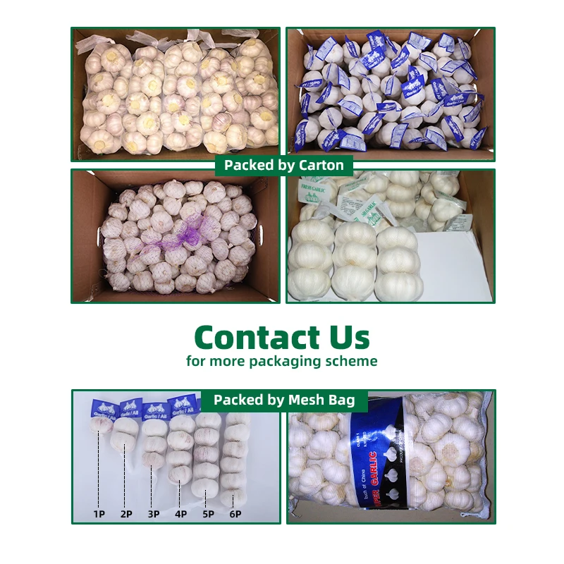 2022 China Wholesale Fresh Garlic Direct Supplier White Fresh Garlic