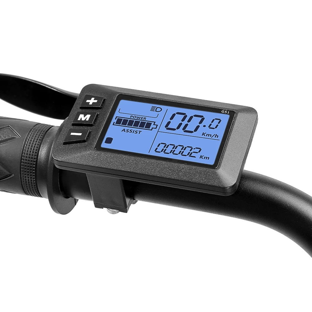 
Fashion electric Bicycle cargo ebike for city bike with double battery 48V 2.8AH 