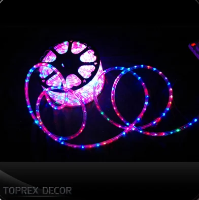 Residential Outdoor RGB LED Rope Lights 24v/220v Warm White 3000K CCT Decorative Permanent Light Strip Remote Control Switch