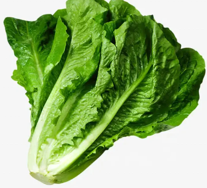 introduction of Automatic container farm
Smart container farm system cubicfarm machines cubicfarm system hydro green systems