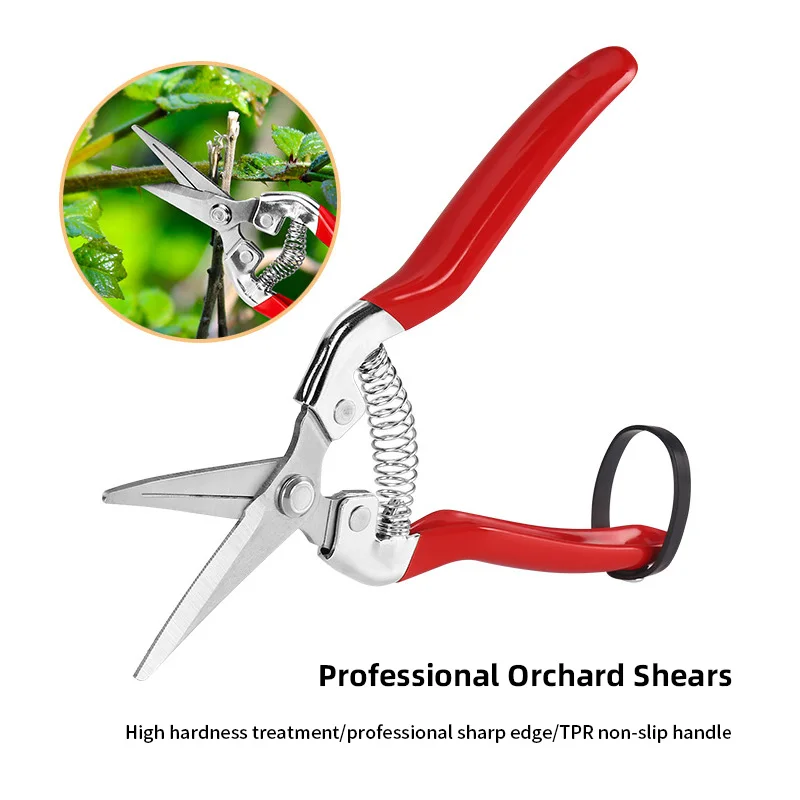 Hot Sale Household Scissors Colorful Scissors Floral Cutter Garden Scissors