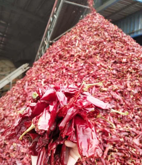 Price of Szeged Sweet Paprika Powder Hungarian Style Paprika Powder Seasoning Spice Deep Red Ground Spices