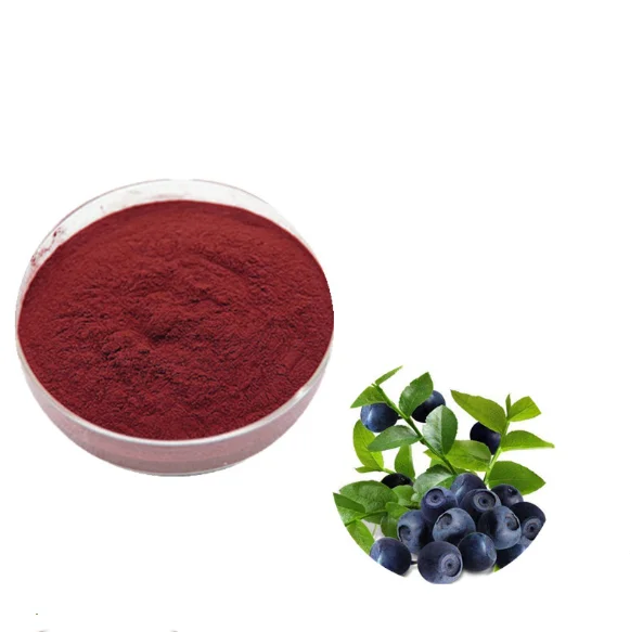 100% Natural fruit powder Acai berry concentrate powder brazil Acai berry extract