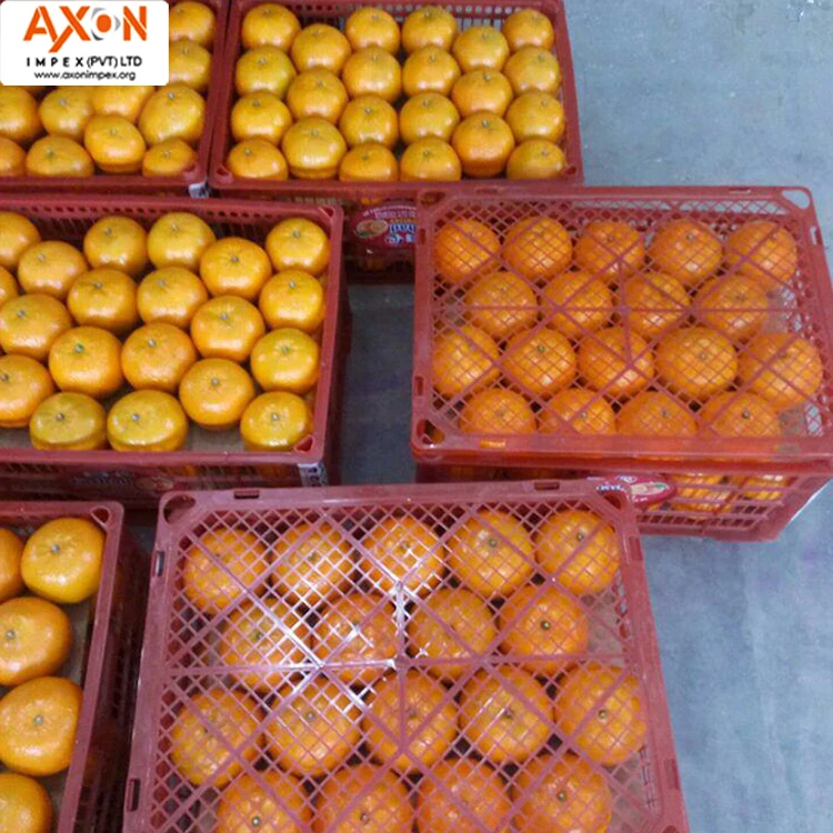 
Fresh Citrus Naval oranges, Lemons,Mandarins,valencia orange,Lime for sale 