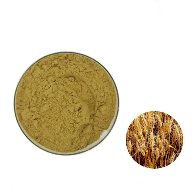 ODM OEM чистый натуральный Claviceps purpurea экстракт спорыньи порошок эргостерол 99%