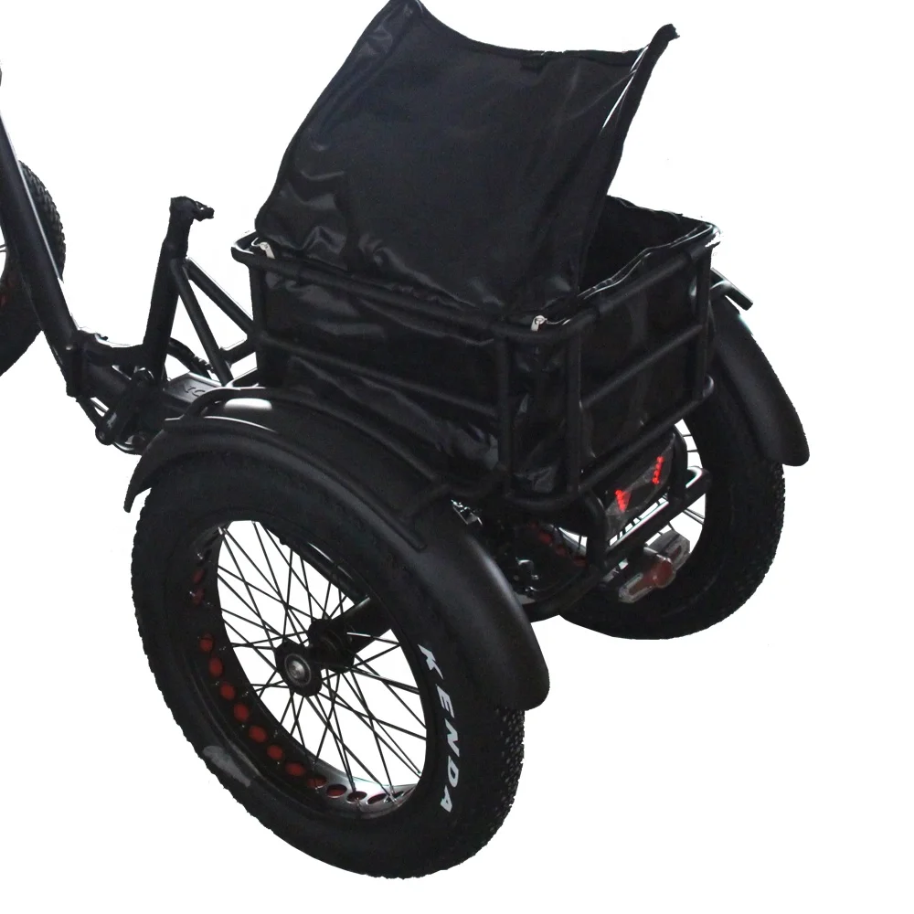  Electric auto rickshaw pedicab tuk for