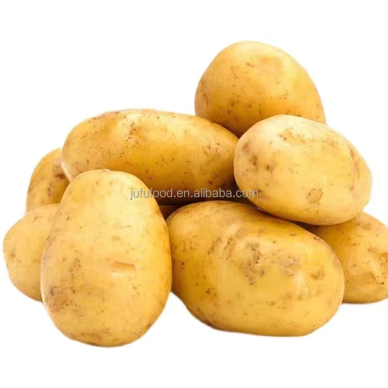 Bangladeshi Pure and Natural Wholesale Potato/Fresh Potato