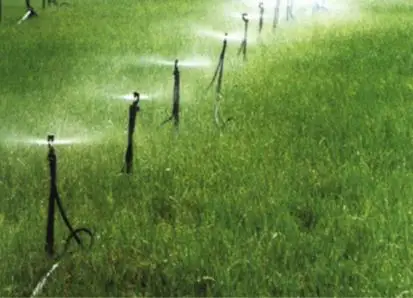 irrigation sprinkler agricultural Standing Stake Water Irrigation Sprinkler and Stake System Farmland greenhouse garden