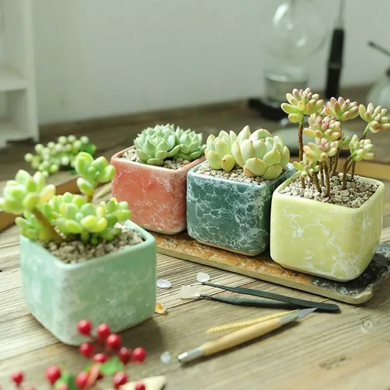 
New green plant pot small square ceramic planter succulent potted wholesale handmade garden decorative mini pottery flowerpot 