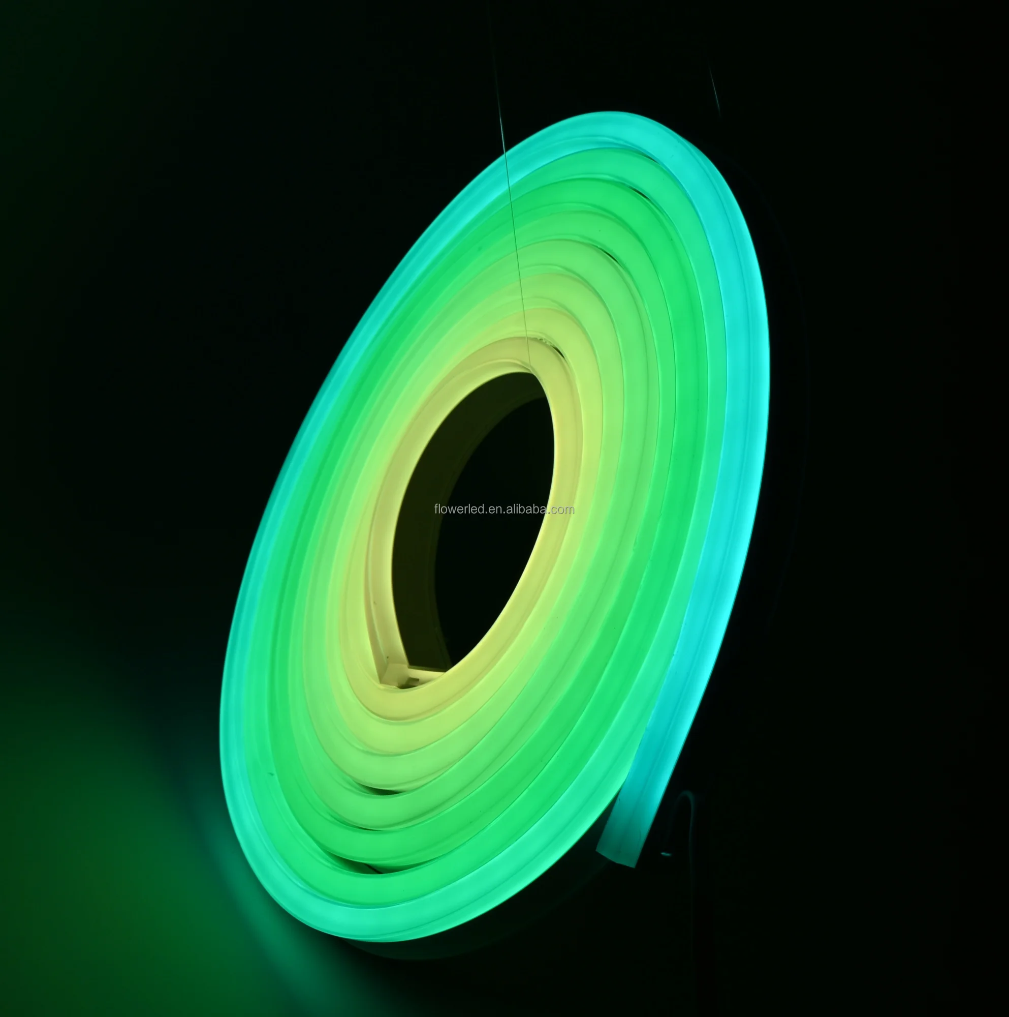 Rgbw IP68 High Bright Low Voltage Strip Light Led Intelligent Rope Light 5m/roll Flexible Led Neon Flex Strip Light For Outdoor