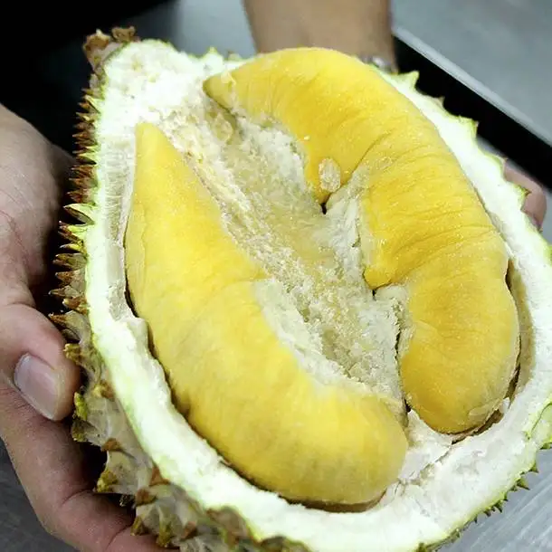 Premium High Quality Lower Price 18 Months Shelf Life Nitrogen Frozen D24 Sultan King Durian Whole Fruit Sweet Aromatic Taste