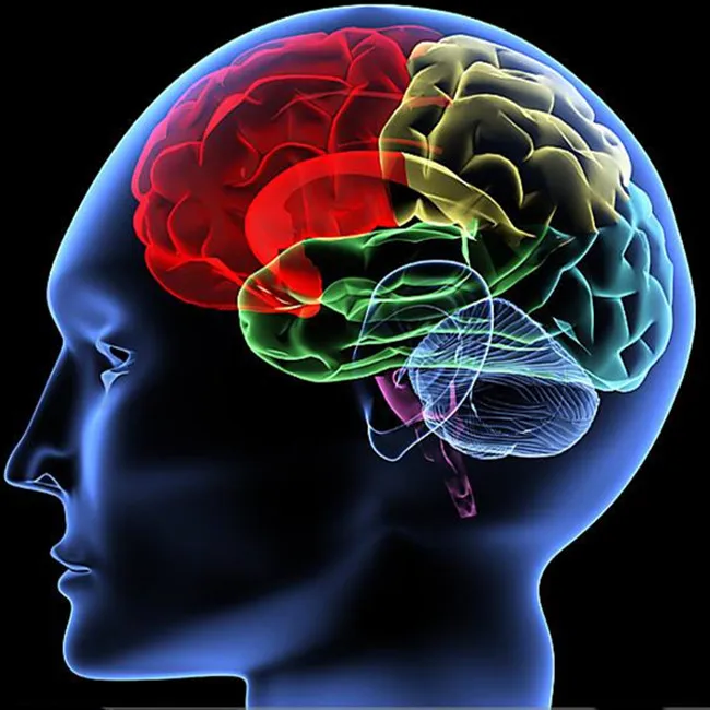 Infrared Light Therapy Brain Tumor cap Recovery And Stroke Patients Instrument