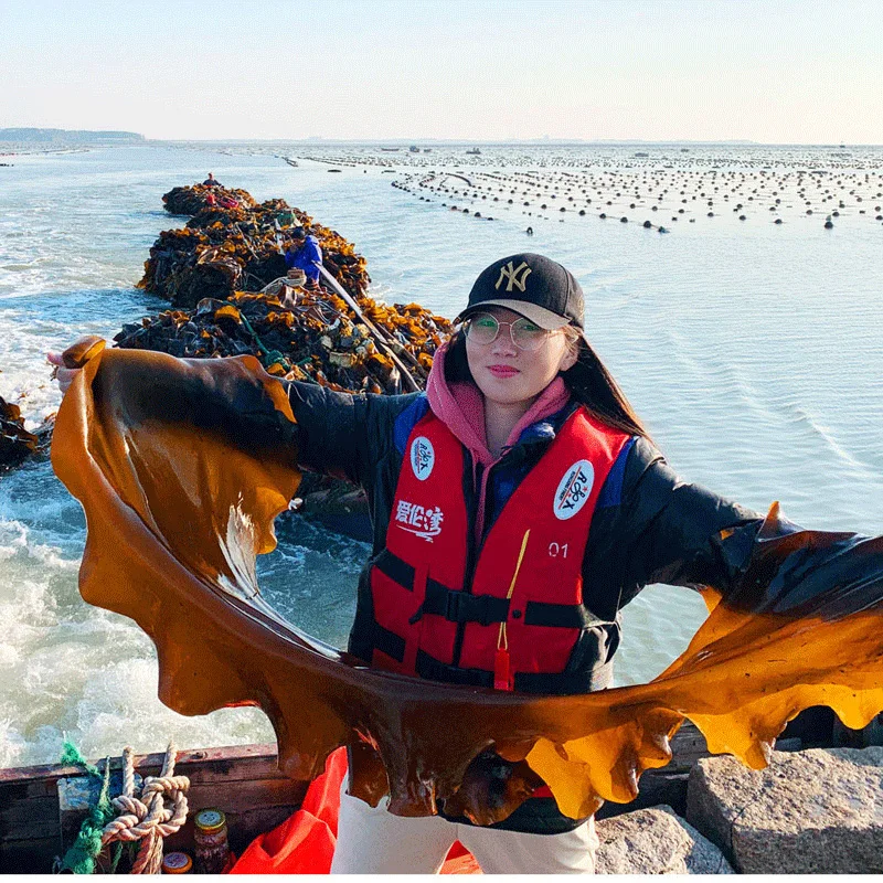 Hot sale Best grade premium kelp Dried kelp dried kombu