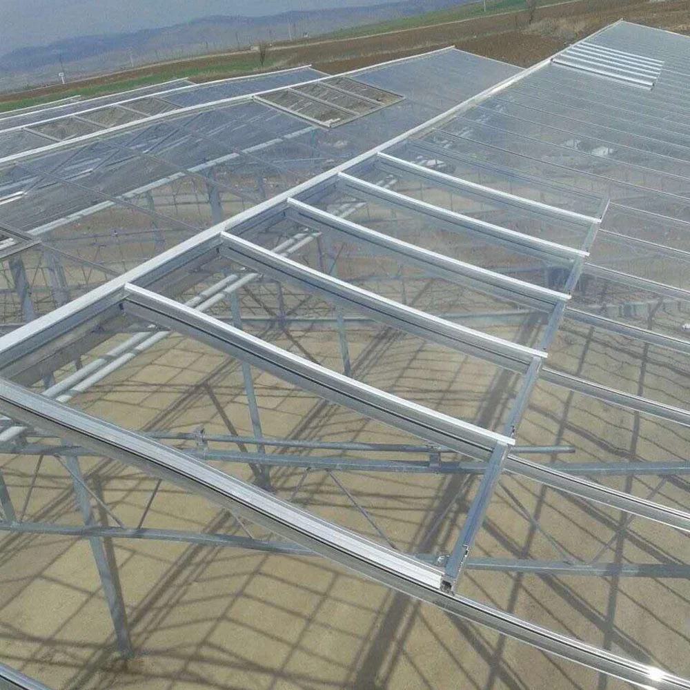 Теплица для сельского хозяйства с гидропонной системой Holland Big Span Venlo