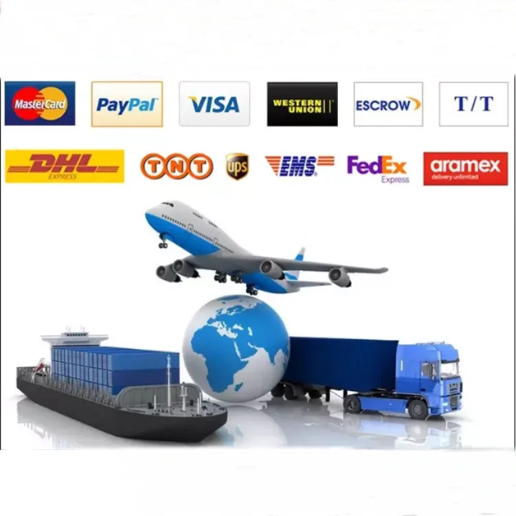 International sea logistic rate Guangzhou dropshipping agent China to Colombia Venezuela Guyana shipping container 20ft 40ft