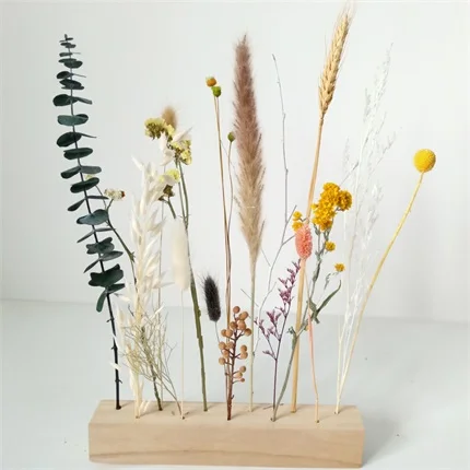 Dried Natural Flower bouquet Palm Leaves, Birch Branches, Bunny tails grass, Yellow Billy Balls,Home Decoration Amazon choice
