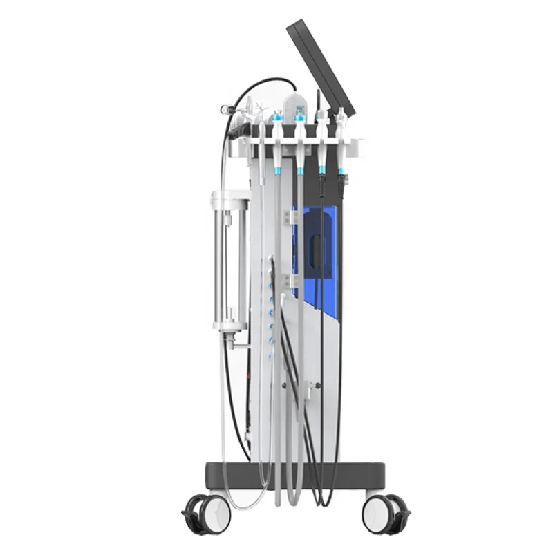 Niansheng 10 in 1 dermabrasion Water aqua oxygen hydra cleaning Hydrofacials microdermabrasion facial machine