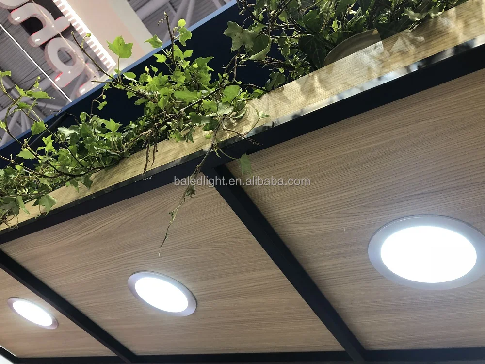 smd downlight (12).jpg