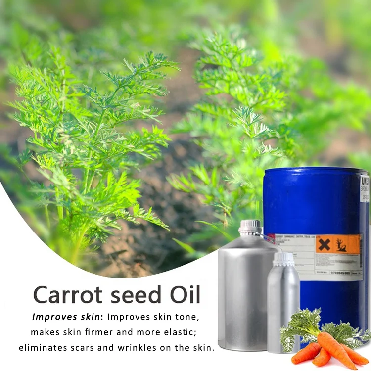 Oem Private Label 100% Pure Natural Organic Carrot Seed Oil