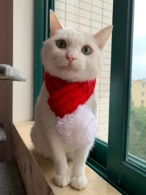 
Warm Winter Pet Dog Scarves Knitting Thicken Scarf Shawl Knit Collar Cat Christmas Scarf Grooming Accessories For Pets 