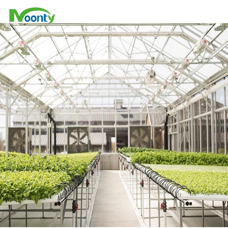 Agricultural Greenhouses Hydroponics Gully Vertical Farming Gutter Smart Garden NFT Grow