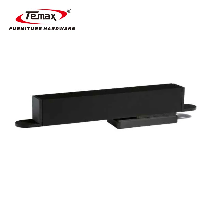 TEMAX 60kg Modern Entry Central Axis Interior Pivot Revolving Door System WF061