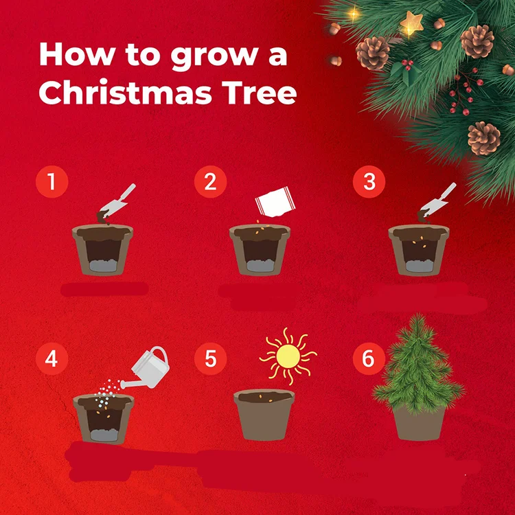 Easily 4 Varieties Beginner Friendly Christmas At Home Tool Set Starter Kit