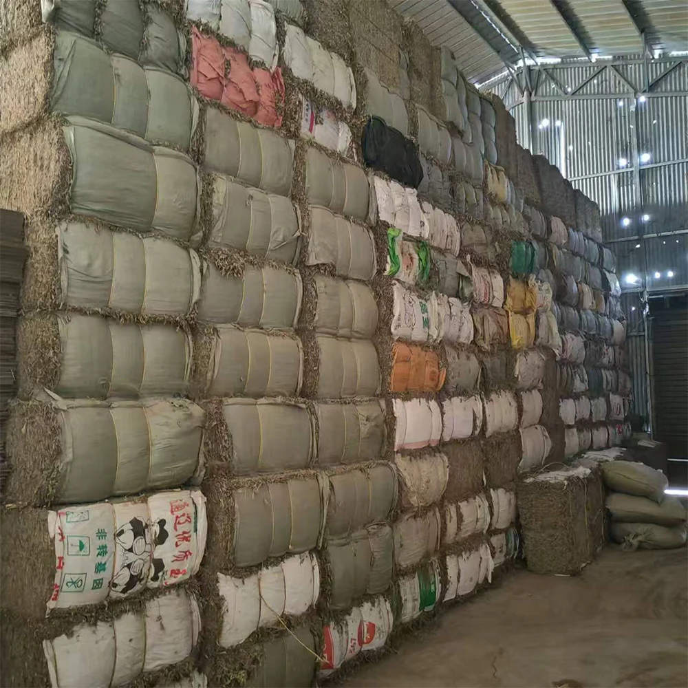 100% Natural Artemisia Argyi 3-year Aged Wildcrafted Mugwort Premium Organic Mugwort Leaves Bagged Dried Mugwort Leaves