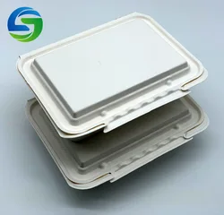 6 x 9 Inch Eco-Friendly biodegradable disposable sugarcane bagasse packing food container Food Delivery Box