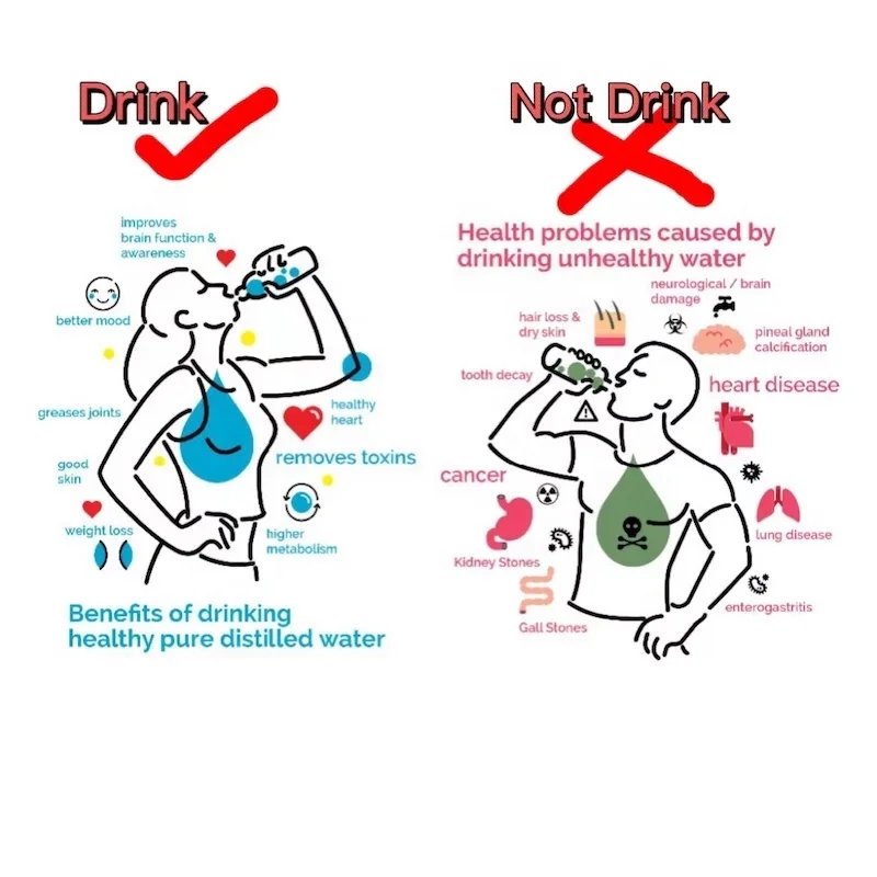 2022 Home Water Distiller Wholesale Price Glass Jug Stainless Steel Distilled Water Making Machine