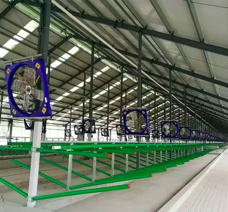 Dairy Farm Cooling Fan with Stainless Steel blades for calf and cattle in ranch