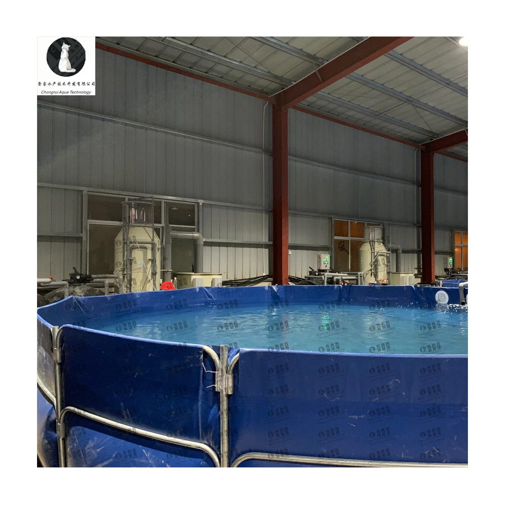 CATAQUA Indoor Fish Farm Fish Farming Equipment Aquaculture System Ras Fish Farming Equipment