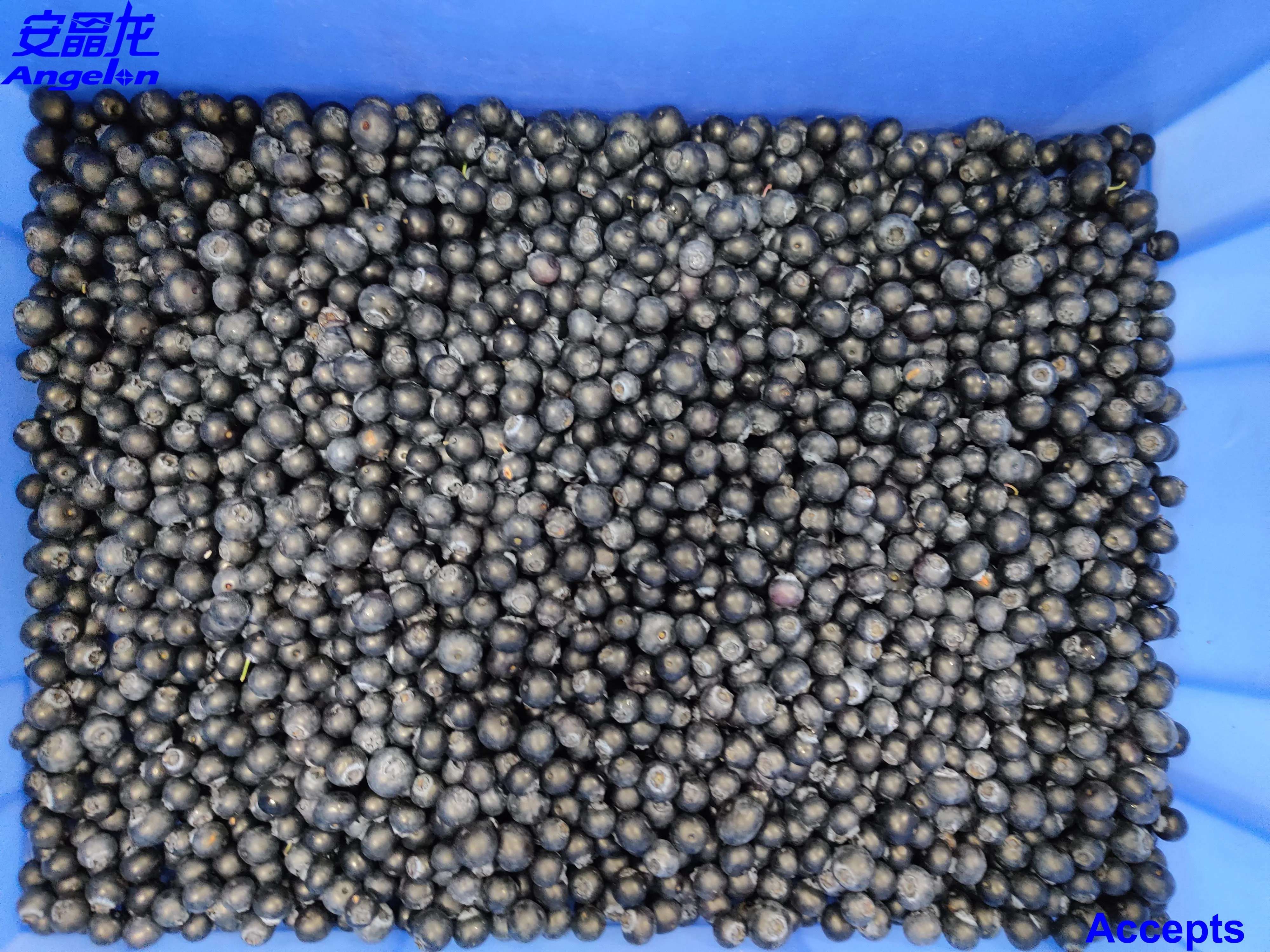 Dehydrated dried vegetables CCD new belt type color sorter