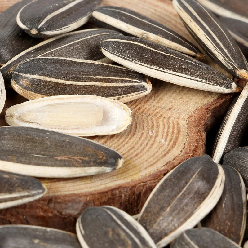 wholesale striped sunflower seeds Sunflower seed roasted seeds and nuts snacks authentic guarantee