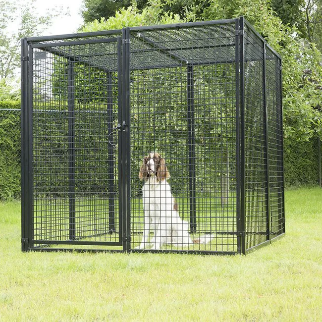 Portable Dog Fence