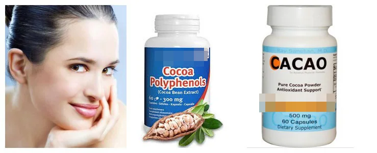Top Grade Food Grade Pure Cocoa Seed Extract in Drum Packaging Pharmaceutical Active Herbal Ingredients Solvent Extraction