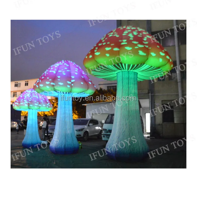 mushroom2021063001-3.jpg