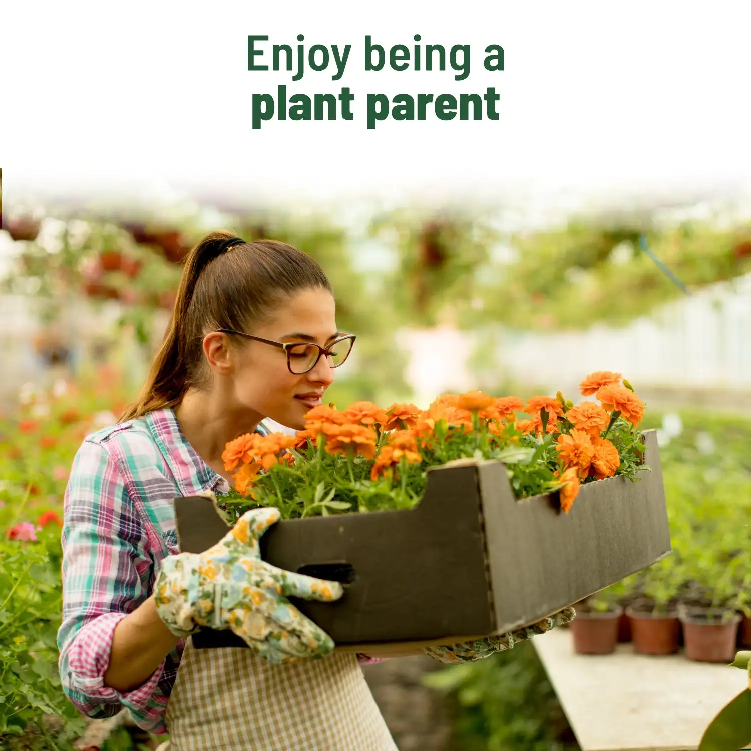Grow Your Own Plant Kit Treasures Marigold Kit Flower Plantable For Garden Growing Kit