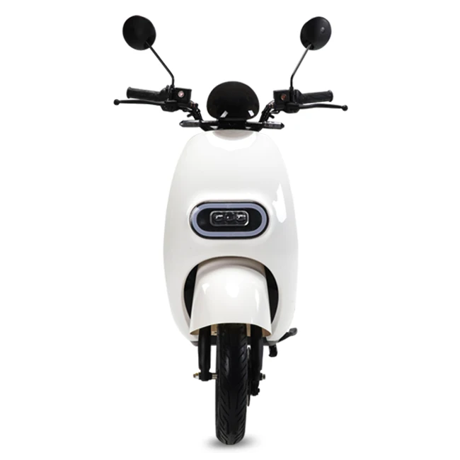 electric scooter with seat for adults